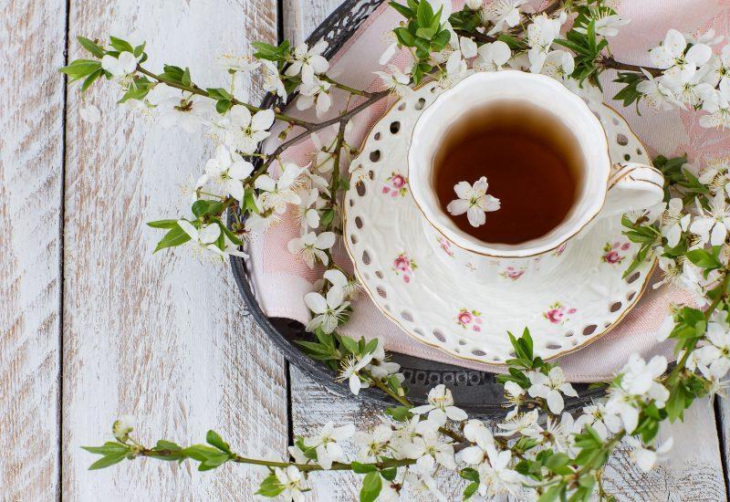 Рецепт полезного весеннего чая от Алены Полынь