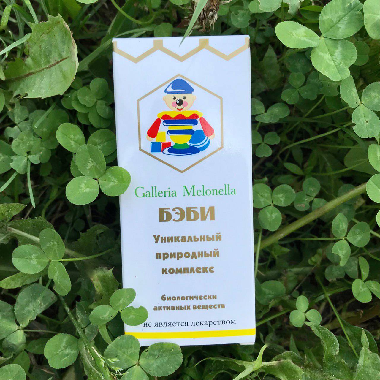 Экстракт восковой моли «Галлерия Мелонелла Бэби» для детей, 50 капсул